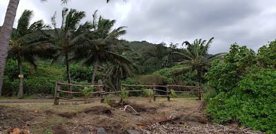 Hālawa Park