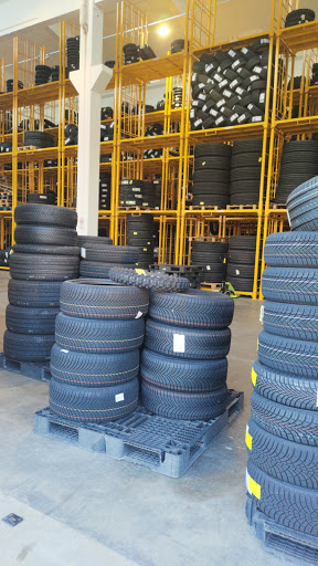 Carlini Gomme - Visual
