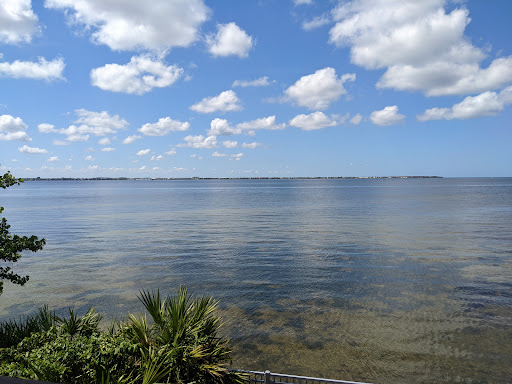 Bayshore Live Oak Park - Thumbnail
