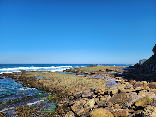 Bilgola Beach - Thumbnail
