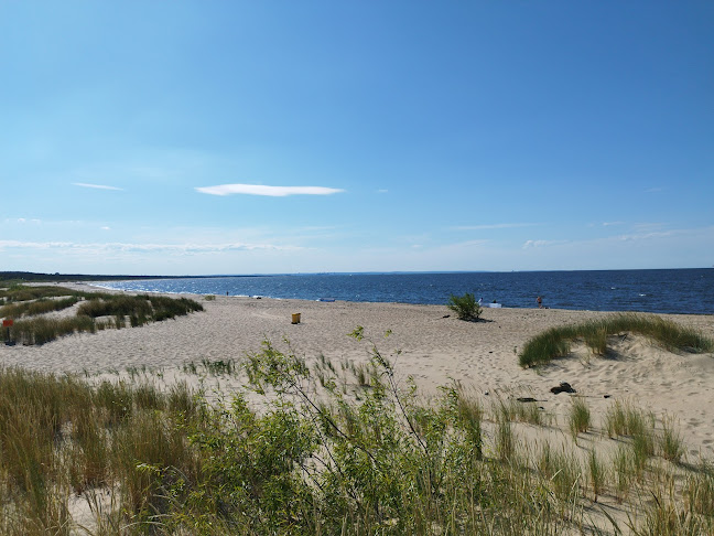 Dworek Bursztynowe Piaski - Organizator imprez