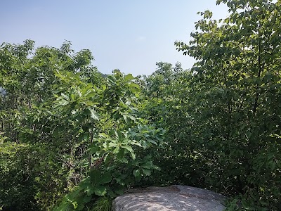 Photos of 미륵산