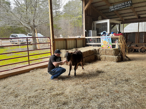 Barnyard Friends & Stables - Thumbnail