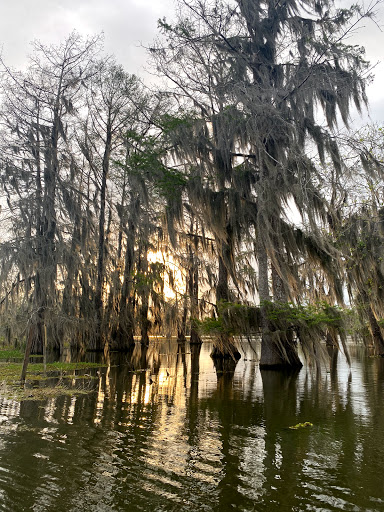 Bayou Teche Experience - Thumbnail