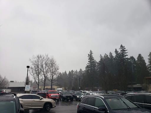 Lake Grove Shopping Center - Thumbnail