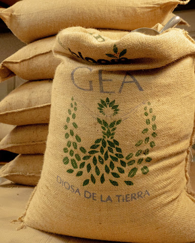 City Bean Roasters by null