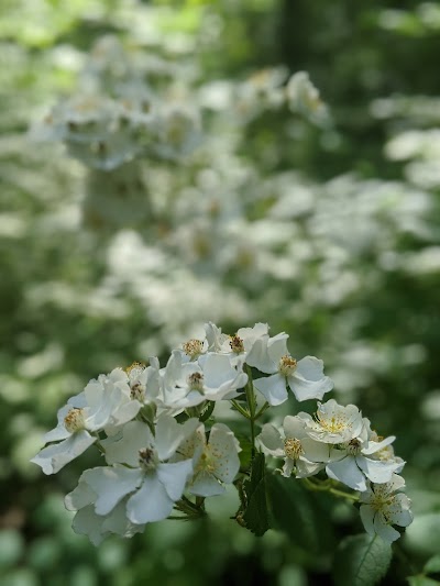 Robison Wildlife Area