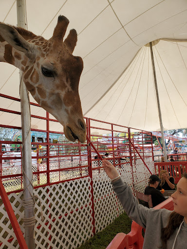 Manatee River Fair Association, Inc. - Thumbnail