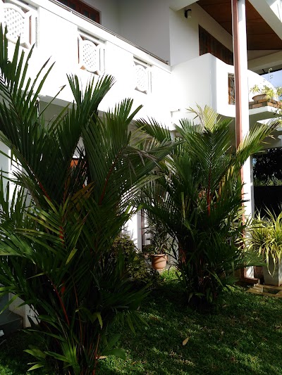 Photos of Salubrious Resort