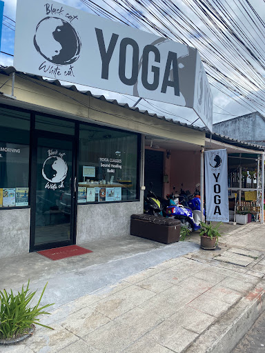 Yoga Black Cat & White Cat
