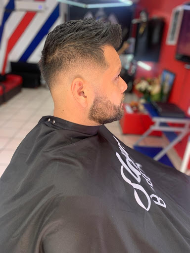 Barberia Shaggy's