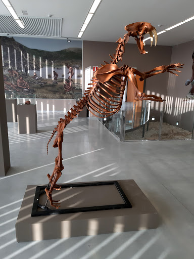 Museo de Prehistoria de Orce Gallery - Spain
