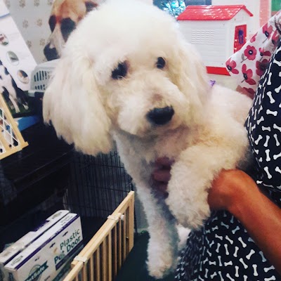 Photos of Pet Pals