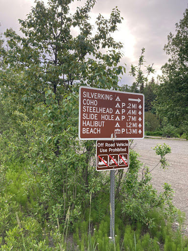 Alaska Bear Viewing Tours - Thumbnail