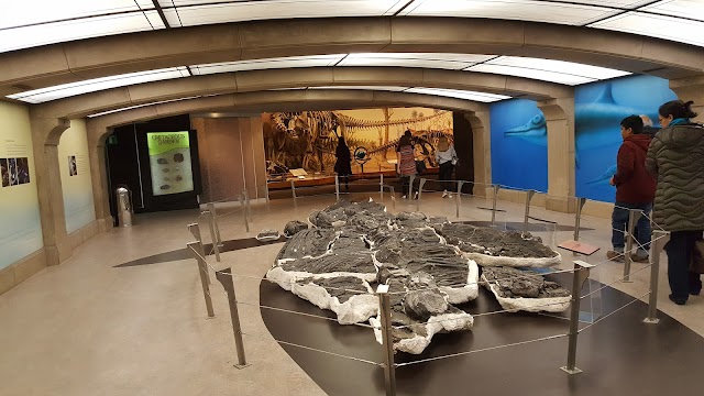 Royal Tyrrell Museum