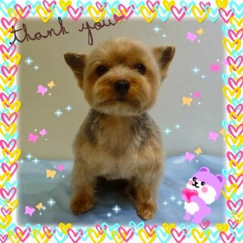 HappyBathPepハッピーバスペップ