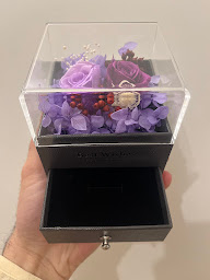 Photo n°25 de PASTEL FLOWERS à Salon-de-Provence (Marché aux fleurs)