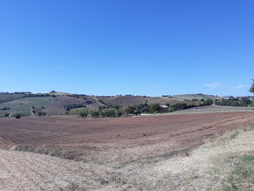 Regione Marche - Palazzo Leopardi