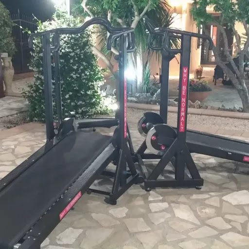 Genesis Fit Evolution - Visual