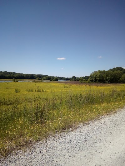 Busseltown Unit Tennessee National Wildlife Refuge