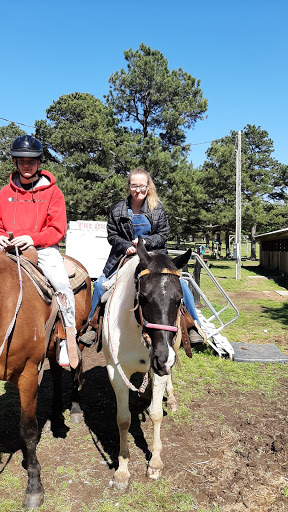 Barnyard Friends & Stables