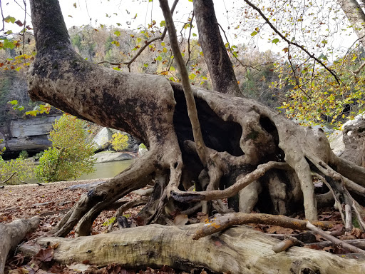 Cumberland Falls Beach - Thumbnail