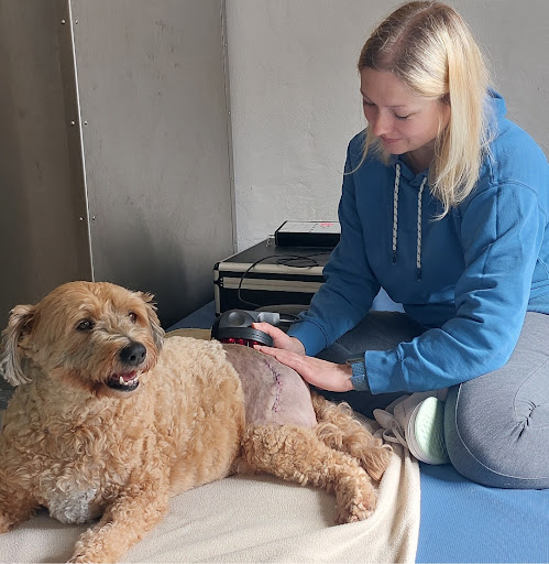 Tierphysio Ellen Biermann