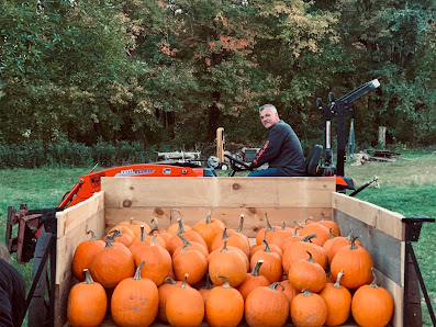 Elm Brook Farm 74 Tannery Rd, Southwick, MA 01077