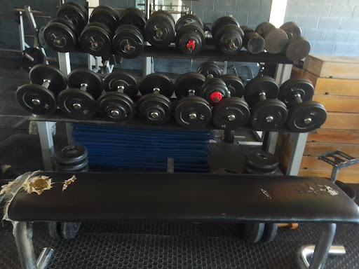 DAMAGYM - Thumbnail