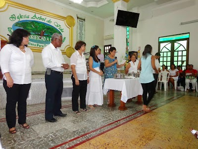 Photos of Tree of Life Church