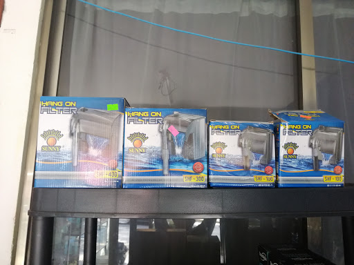 Acuario xalapa kaskarudo