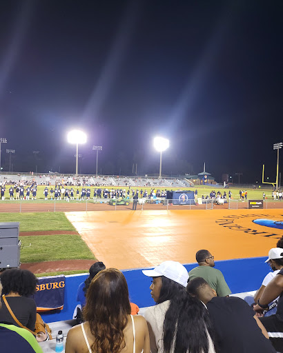 Rogers Stadium - Visual