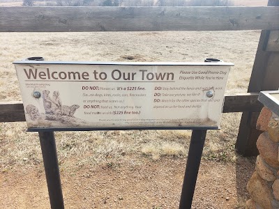 Prairie Dog Town