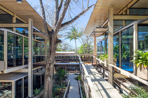 The Gilded Iguana Gym & Coworking