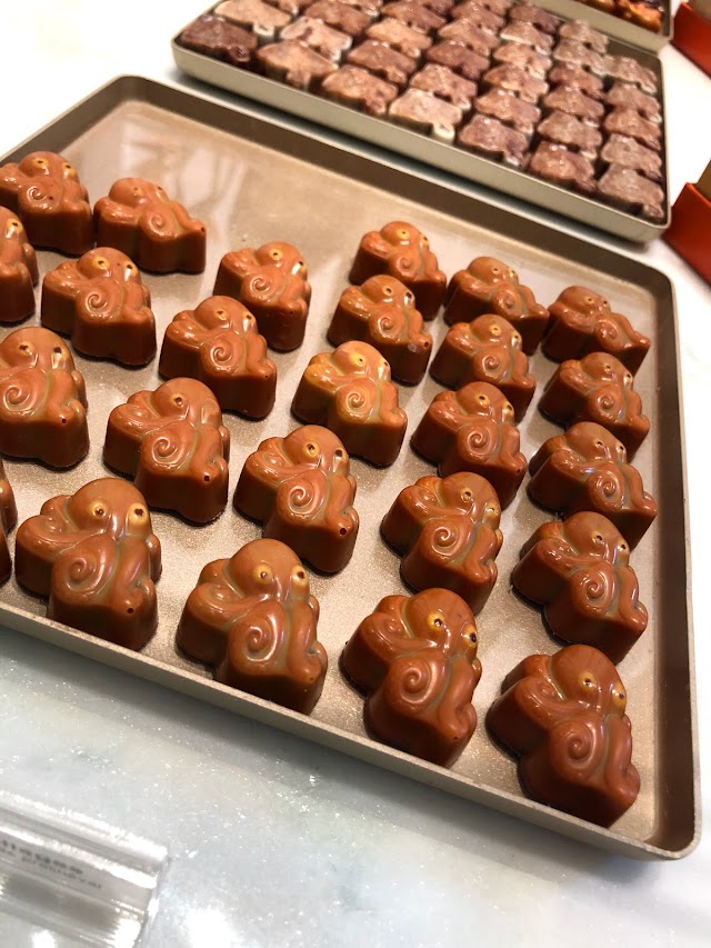 GHRAOUI Chocolate Budapest