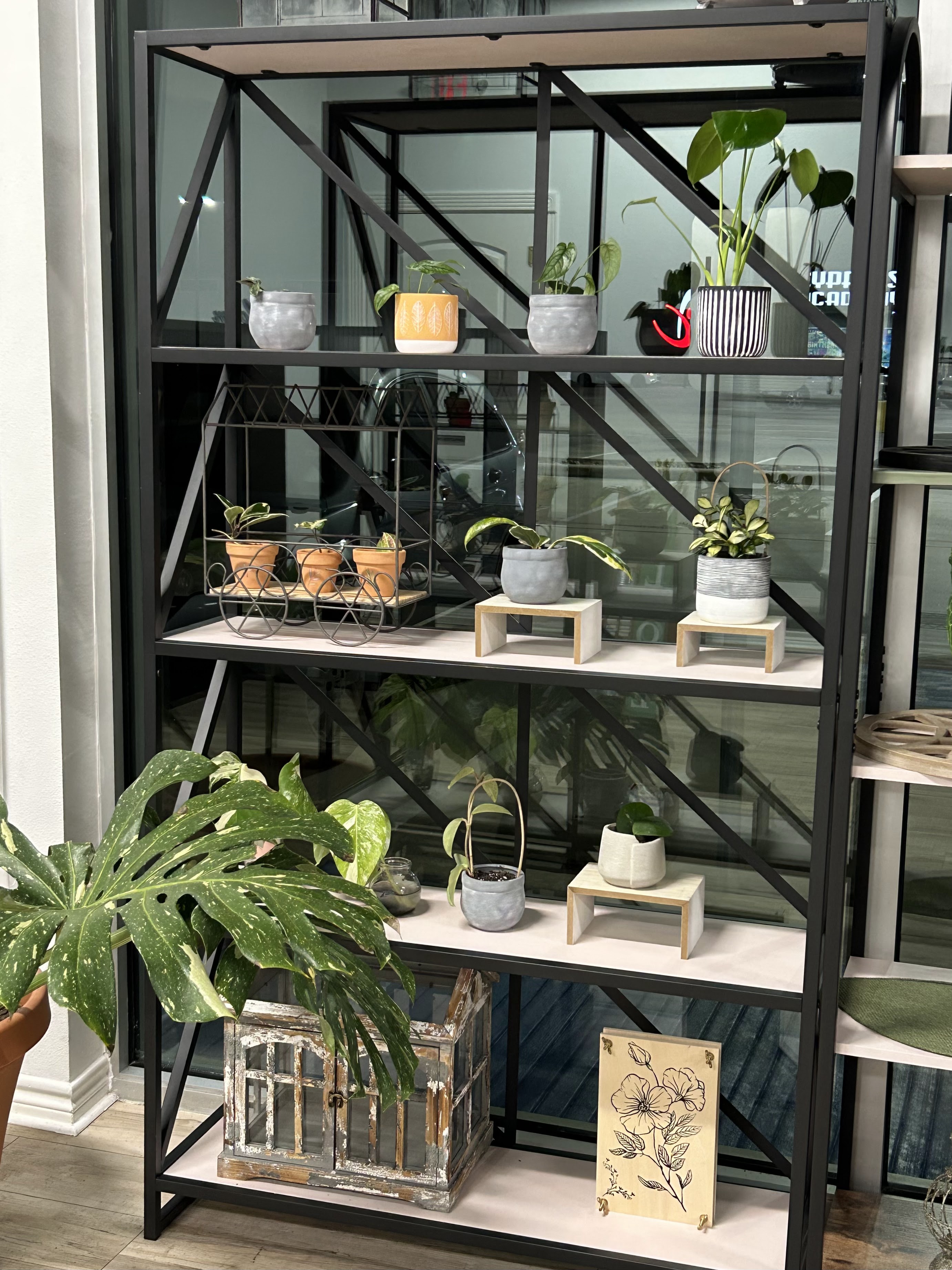 SowCUTE Plant Shop