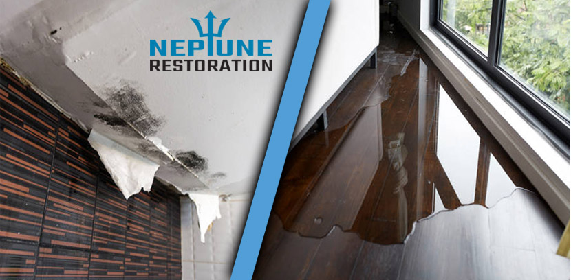 Neptune Restoration photo