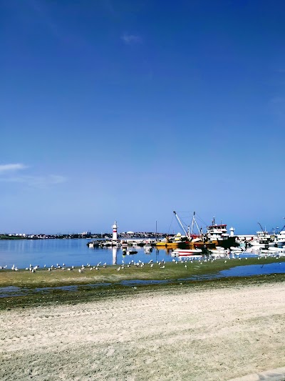 Mersin Tantuni