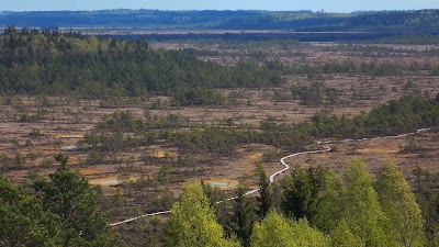 Photos of Torronsuo National Park