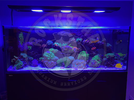 Rockstar Aquarium Services Logo