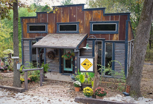 Turtle Crossing Gallery - Thumbnail
