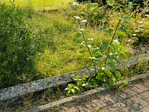 Jöllenbeck Cemetery - Thumbnail