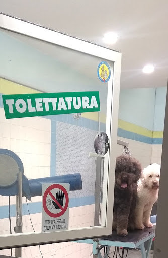 L'Arca - Tutto per gli Animali - Thumbnail