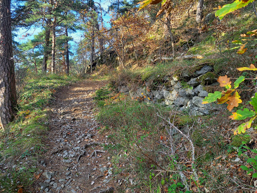 Photo de Maison et chambres d'hôtes le Corcheira à Arsac-en-Velay (43700)