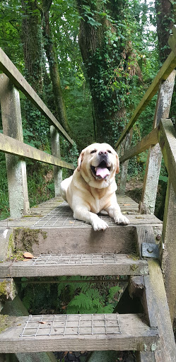 Torbridge Vet Group - Bideford - Thumbnail