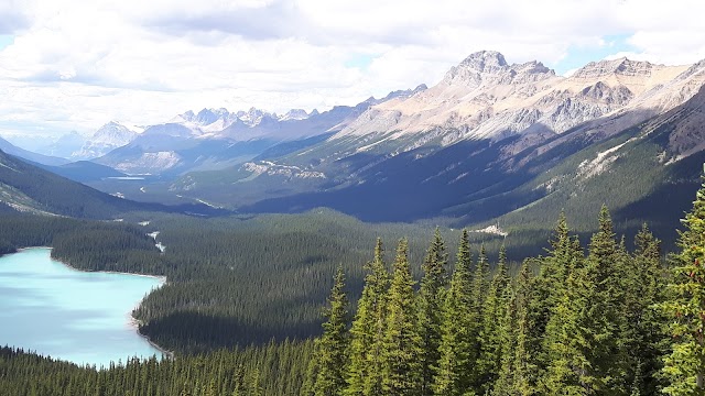 Lac Peyto