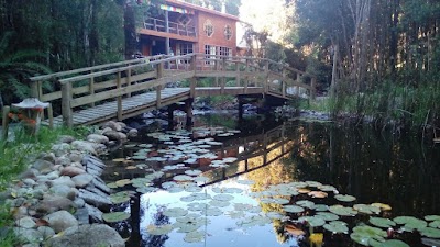 Photos of Atma Bosque