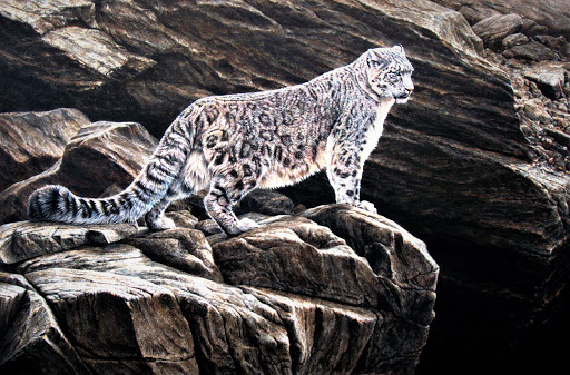 Online Wildlife Art Shop Gallery - United Kingdom