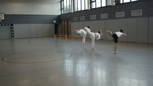 Taekwondo Hochwald e.V. - Thumbnail