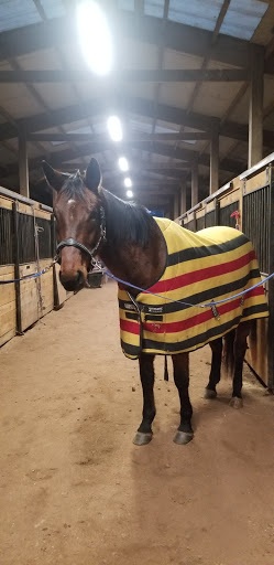 Catskill Equestrian Center - Thumbnail